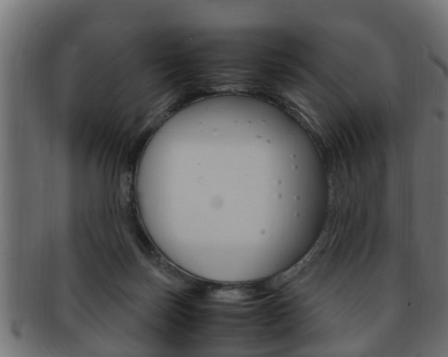 X0000092330171200709141124