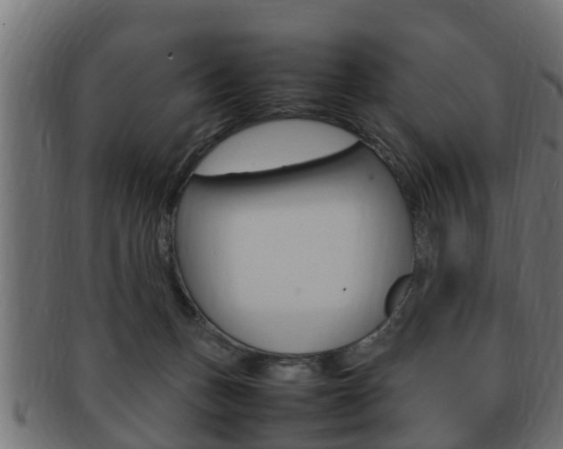 X0000092330175200709141124