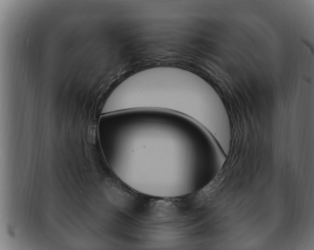 X0000092330180200709141125