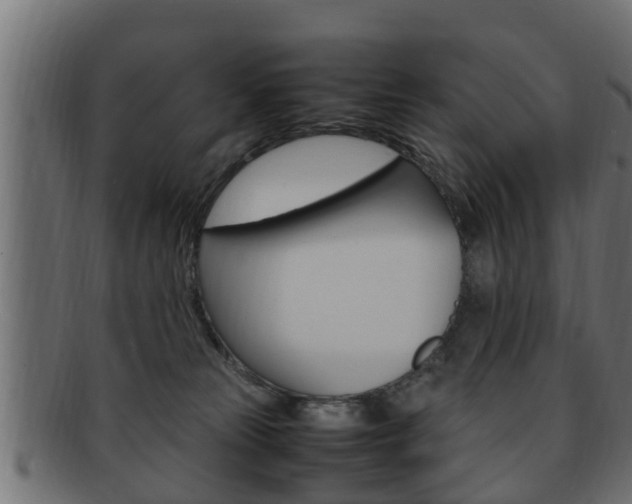X0000092330181200709141125