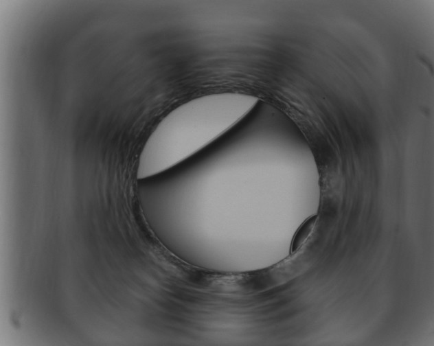 X0000092330182200709141125