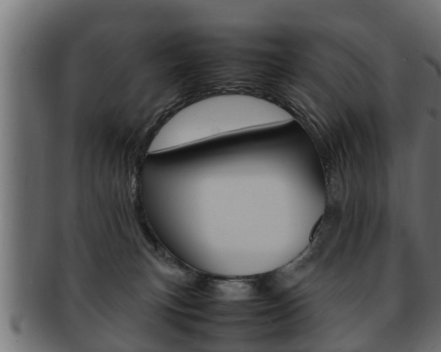 X0000092330183200709141125