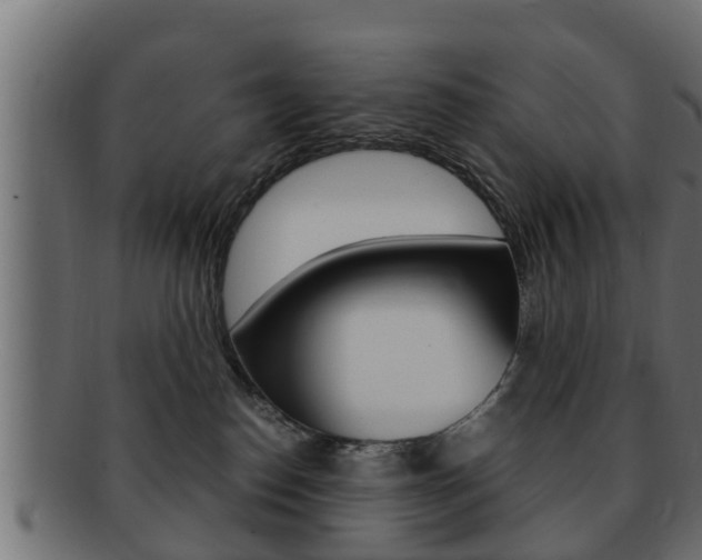 X0000092330186200709141125
