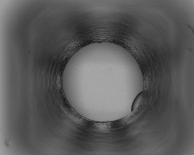X0000092330187200709141125