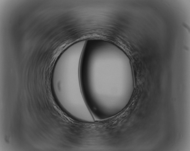 X0000092330193200709141124