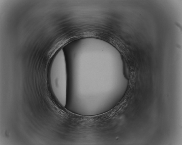 X0000092330194200709141124