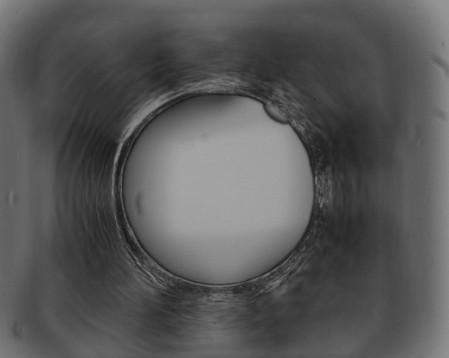 X0000092330196200709141124