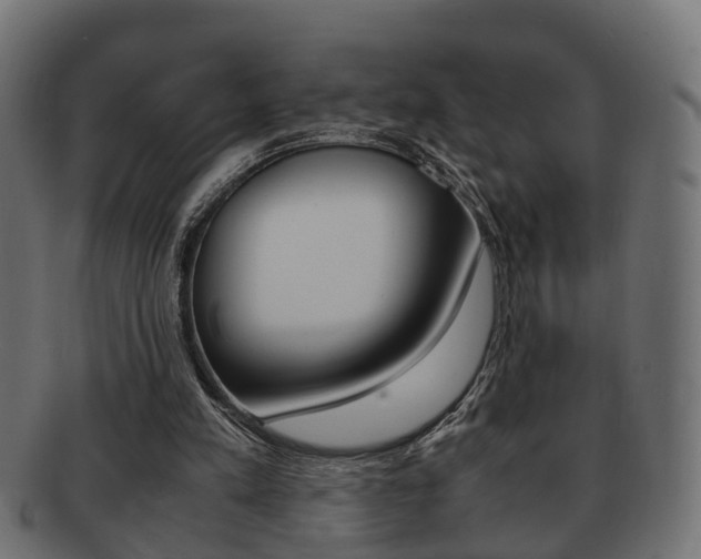 X0000092330197200709141124