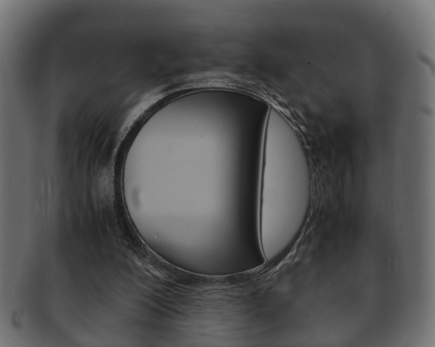 X0000092330200200709141124