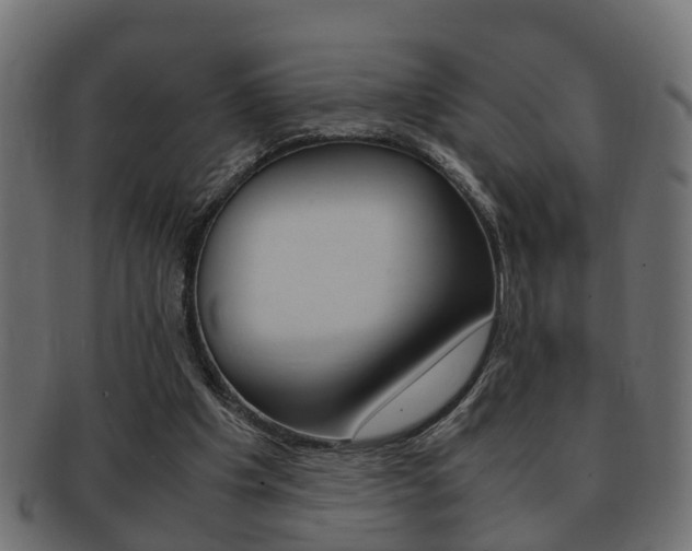 X0000092330201200709141124