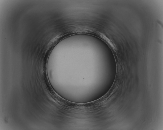 X0000092330203200709141124