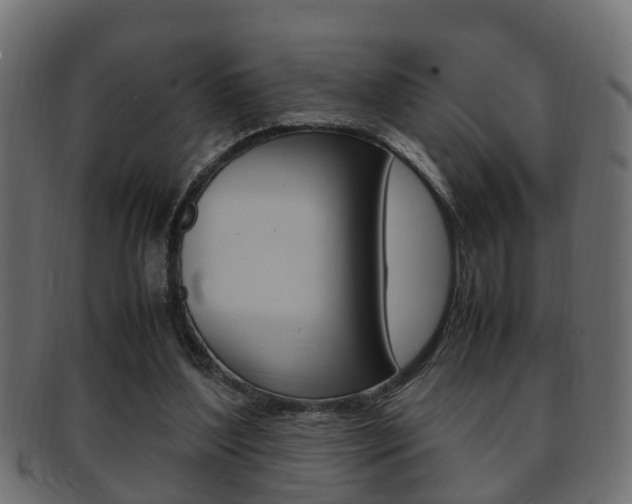 X0000092330204200709141124