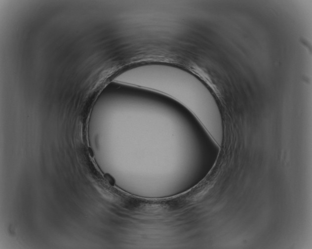 X0000092330205200709141124