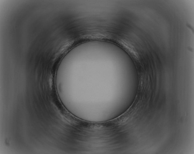 X0000092330206200709141124
