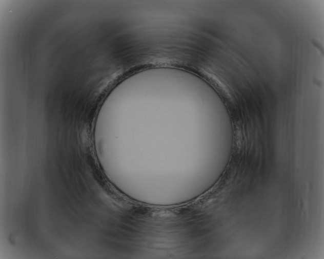 X0000092330208200709141124