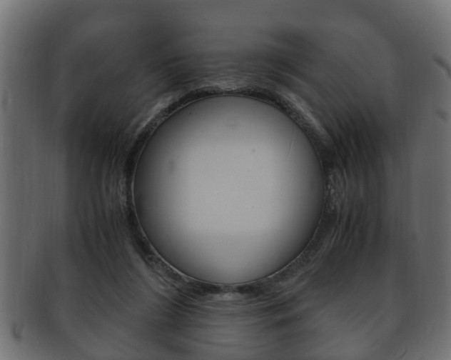 X0000092330212200709141124