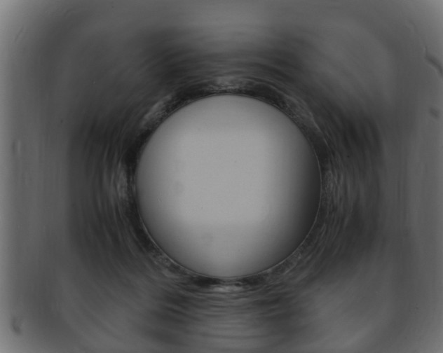 X0000092330220200709141124