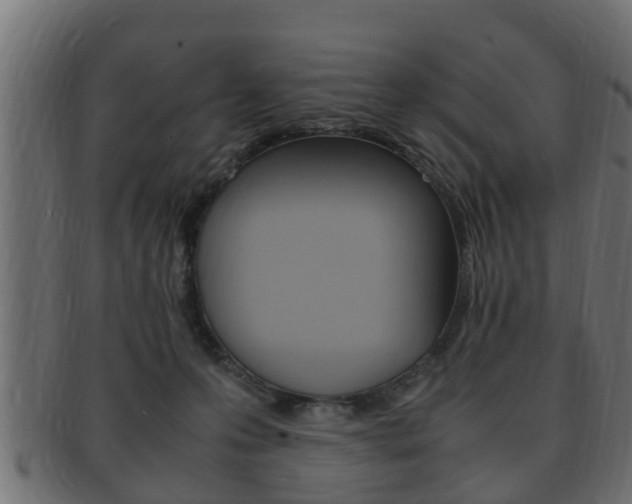 X0000092330223200709141124