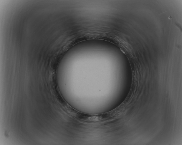X0000092330225200709141124