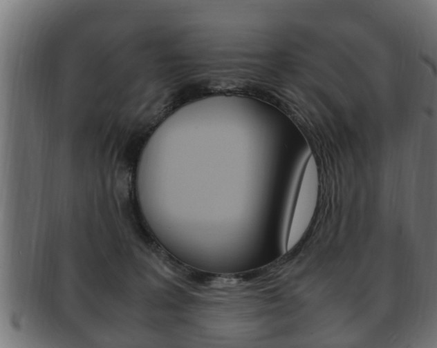 X0000092330227200709141124