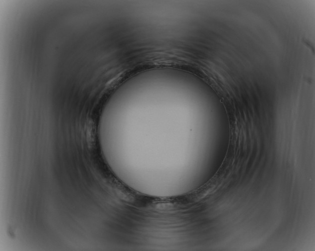 X0000092330228200709141124