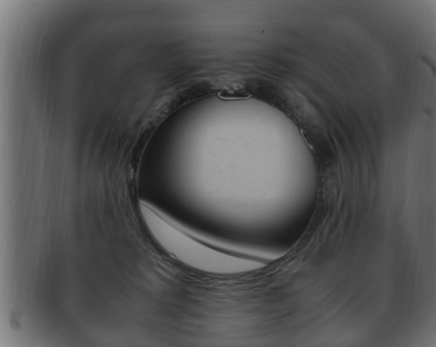X0000092330229200709141124