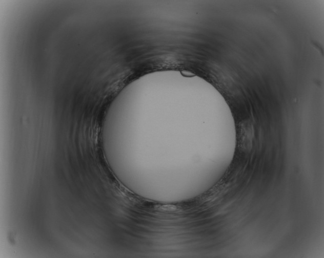 X0000092330230200709141124