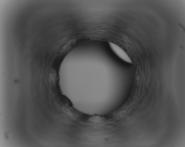 X0000092330231200709141124