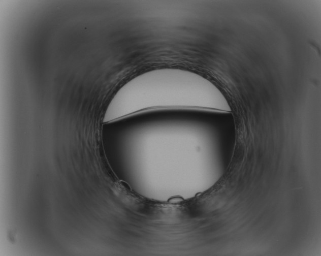 X0000092330233200709141124