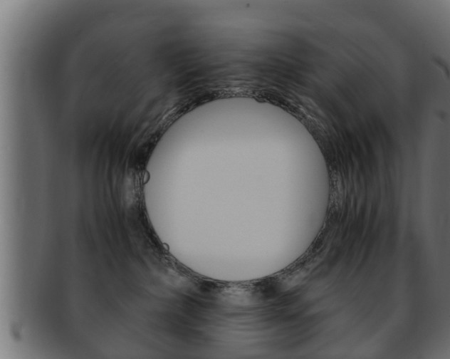X0000092330236200709141124
