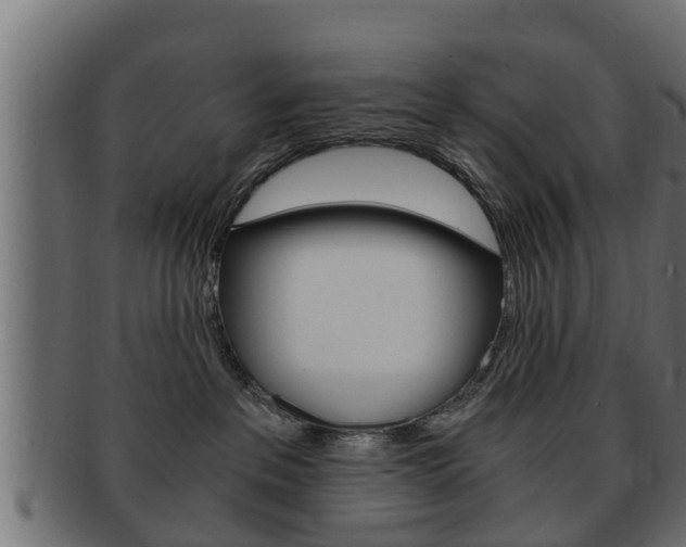 X0000092330237200709141124