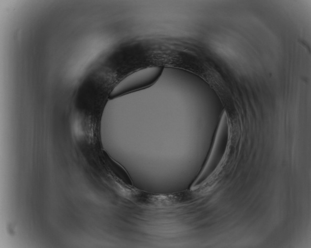 X0000092330239200709141124