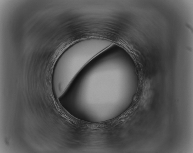 X0000092330241200709141123