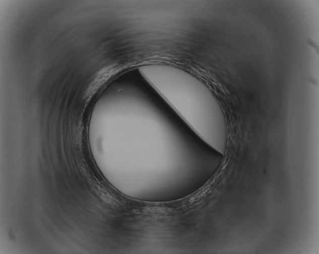 X0000092330242200709141123