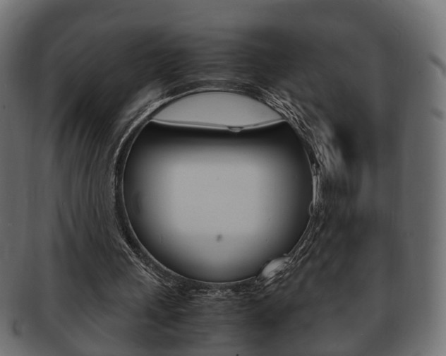 X0000092330243200709141123