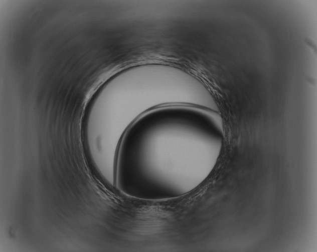 X0000092330244200709141123