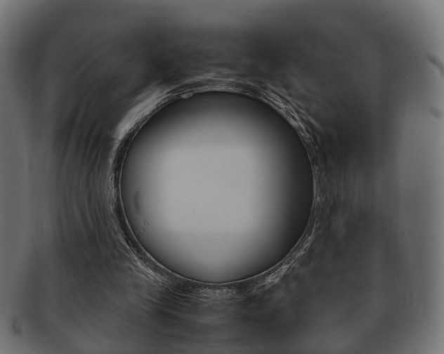 X0000092330245200709141123