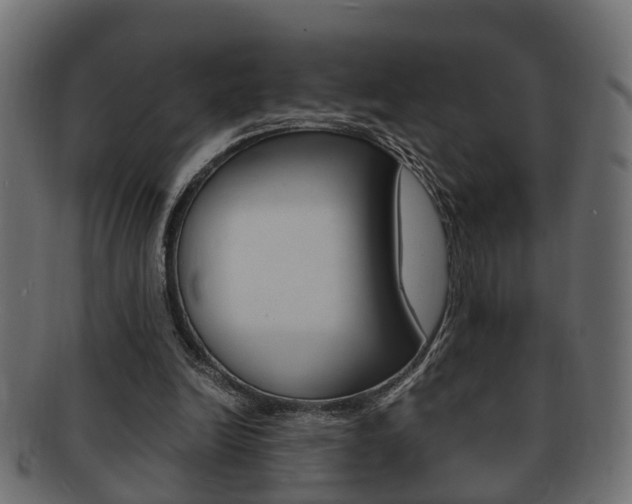 X0000092330246200709141123