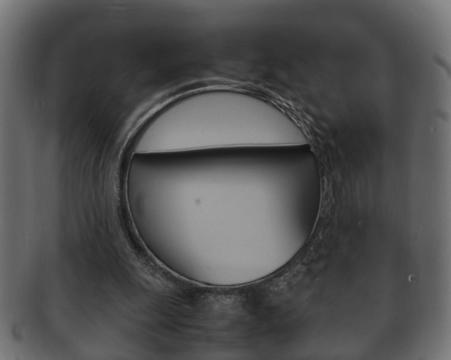 X0000092330247200709141123