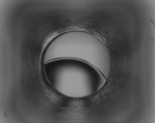 X0000092330248200709141123