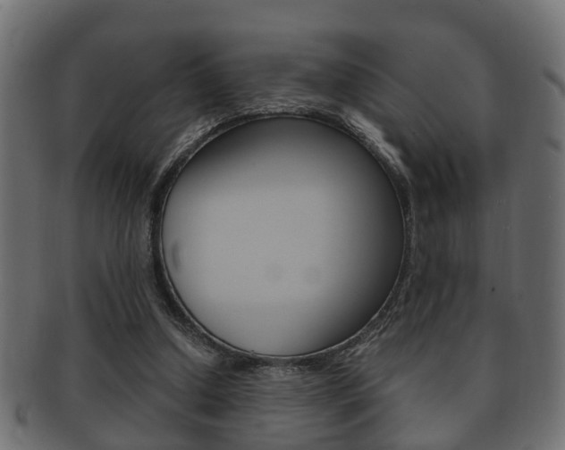 X0000092330250200709141123