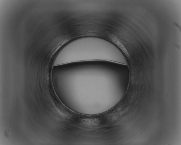 X0000092330251200709141123
