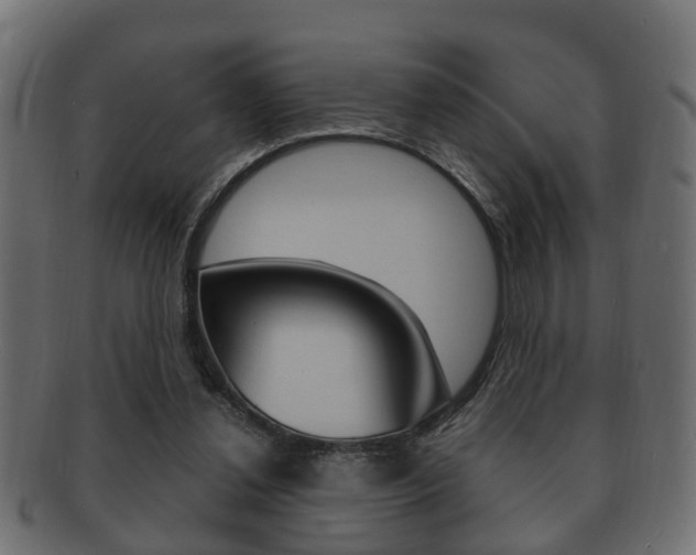 X0000092330252200709141123