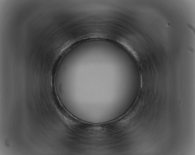 X0000092330253200709141123