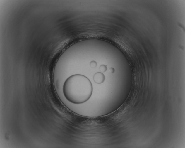 X0000092330254200709141123