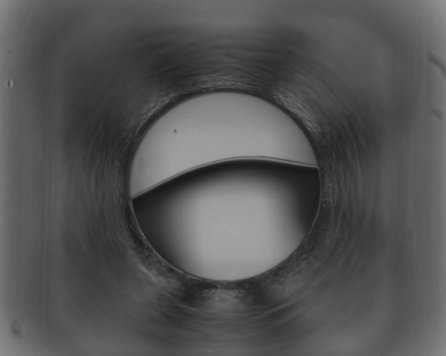 X0000092330255200709141123