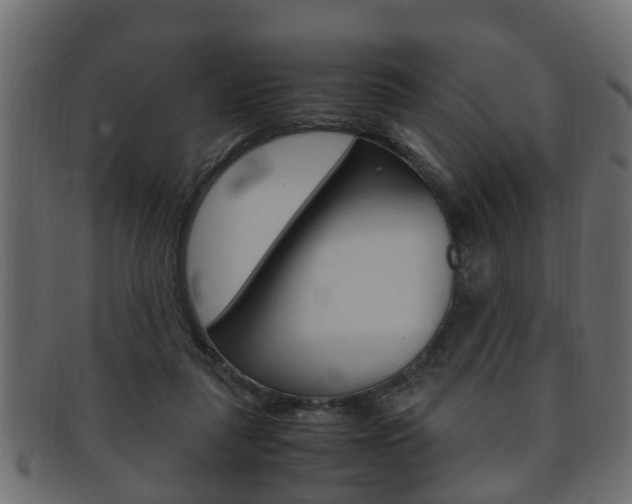 X0000092330259200709141123