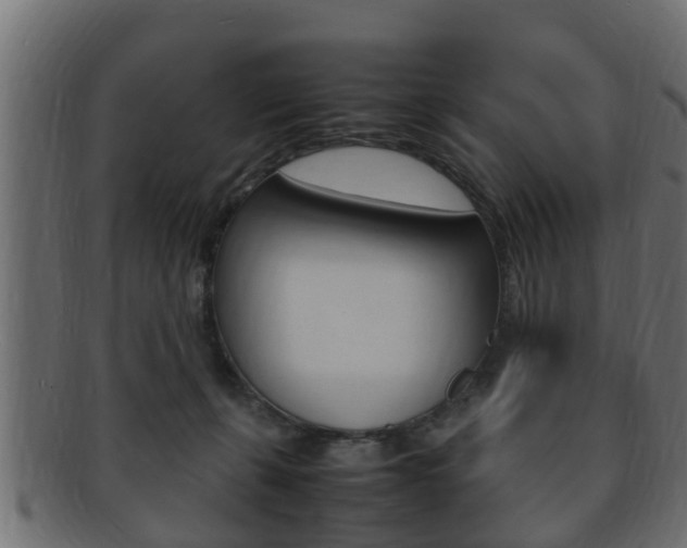 X0000092330271200709141123