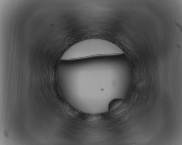 X0000092330274200709141123