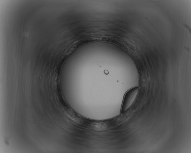 X0000092330275200709141123